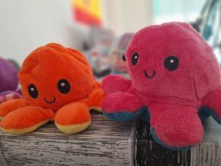Peluche Pulpo Reversible 2 Caras