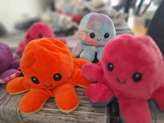 Peluche Pulpo Reversible 2 Caras