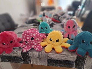 Peluche Pulpo Reversible 2 Caras