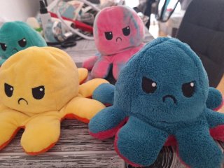 Peluche Pulpo Reversible 2 Caras