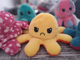 Peluche Pulpo Reversible 2 Caras
