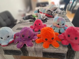 Peluche Pulpo Reversible 2 Caras