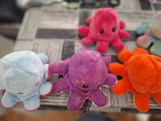 Peluche Pulpo Reversible 2 Caras
