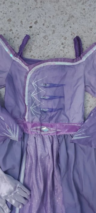 Disfraz Frozen II Elsa