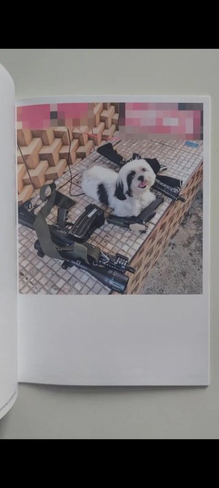 Favela narco Pets 3