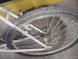 Bicicleta Montaña