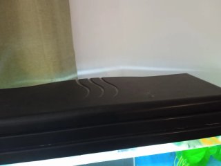 Acuario con mueble, filtro y adornos