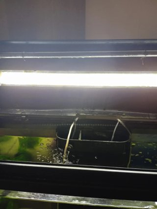 Acuario con mueble, filtro y adornos