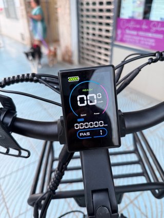 Bicicleta eléctrica Fat Bike SWIFT