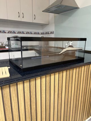 Acuaterrario tortuga cristal + piedras