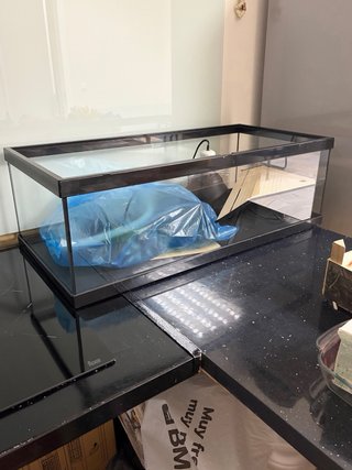Acuaterrario tortuga cristal + piedras