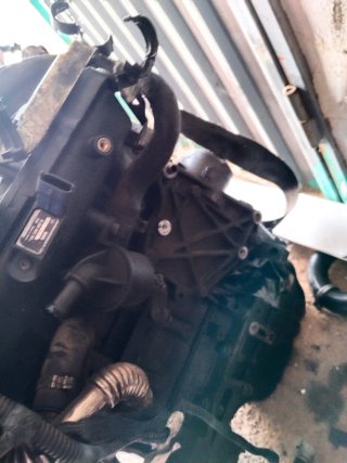 Despiece motor Fiat 1.3 JTD (188A9000)