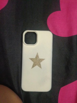 Fundas iPhone 13 (Varias)