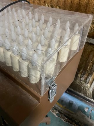 Lámpara de iglesia con velas