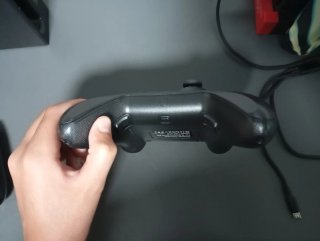 Mando Pro para videojuegos