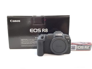 camara digital evil canon eos r8