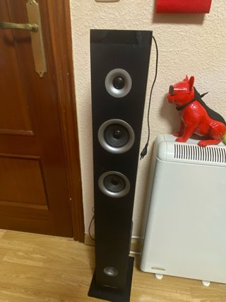 Altavoz negro ideal