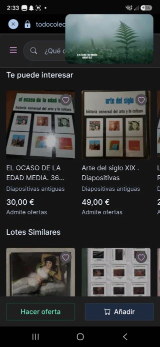 Diapositive di Arte Cultura e Arte Indostanica