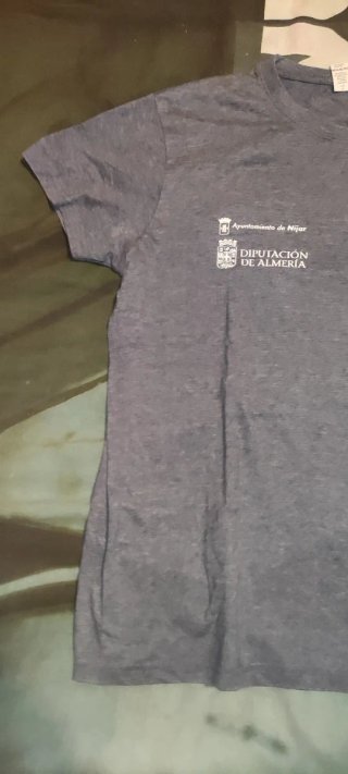 Camiseta M Roly Gris