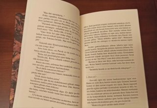 Berriro igo nauzu (Literatura saila)