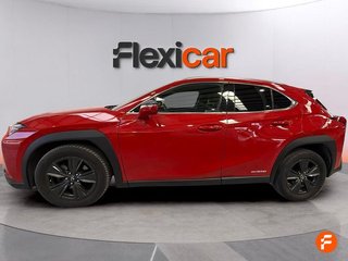 Lexus UX 2.0 250h Business