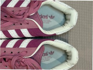 Adidas Gazelle Indoor Rosa EU36