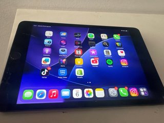 iPad mini 5 Grigio Siderale