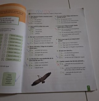 Cloe, 6 è Educació Primària entrenament de la c...