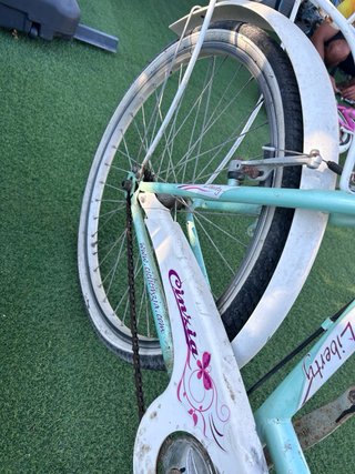 Bicicleta Cinzia Liberty Girl 24”