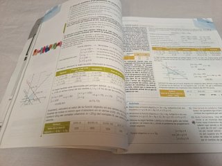 Matemàtiques aplicades a les ciències socials I...