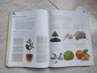 Biología y geología, ciencias, Bachillerato 1
