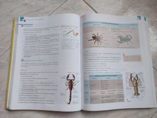 Biología y geología, ciencias, Bachillerato 1
