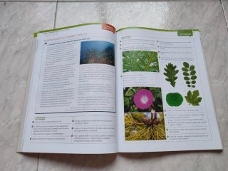 Biología y geología, ciencias, Bachillerato 1