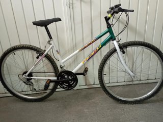 Bicicleta Mujer vivanty 26