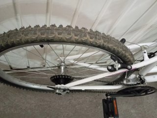 Bicicleta Mujer vivanty 26