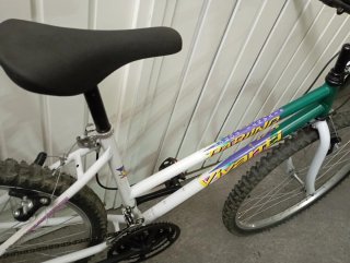 Bicicleta Mujer vivanty 26