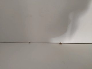 Estantería Billy Ikea Cristal y Madera