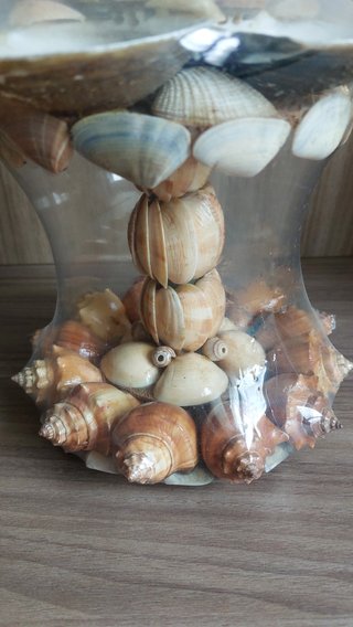 Centrotavola conchiglie 39 cm