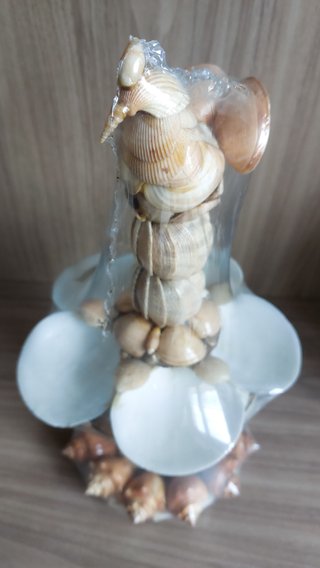 Centrotavola conchiglie 39 cm