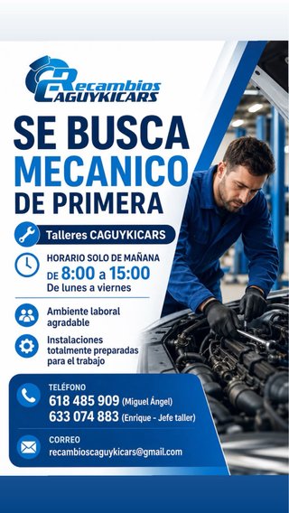 Buscamos Mecanico
