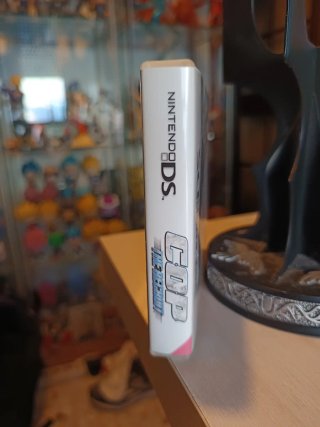 COP The Recruit DS Completo