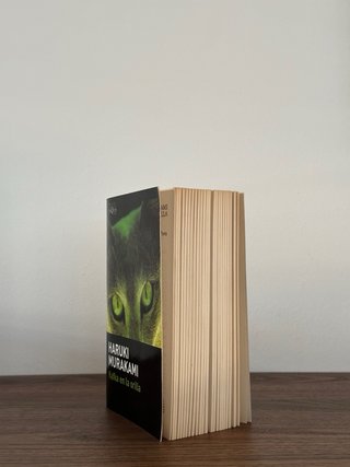 Lote libros: El Alquimista + Kafka en la orilla