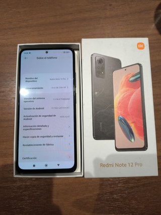 Xiaomi Redmi Note 12 Pro 4G Gris