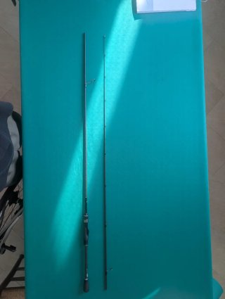 Canna da pesca Graphiteleader Silverado Prototype