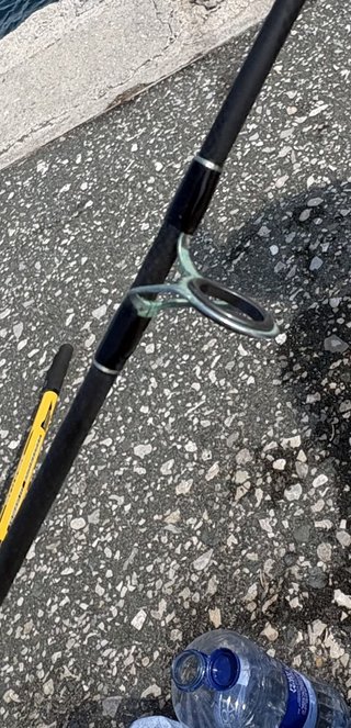 Caña de pesca Surfcasting