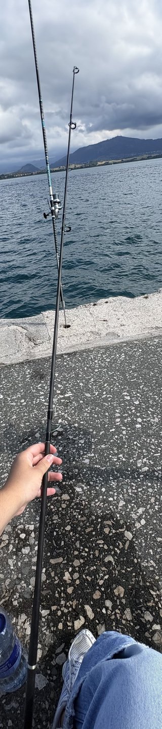 Caña de pesca Surfcasting