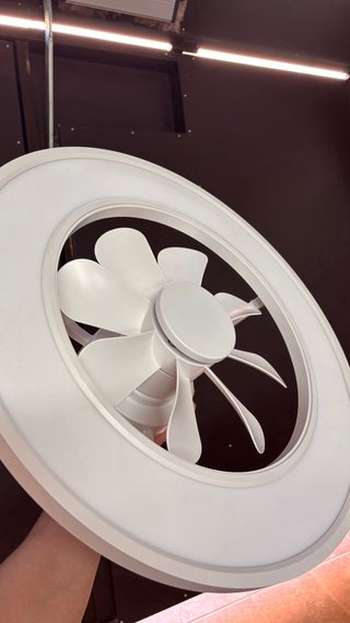 Ventilador de techo Parrot Uncle con luz