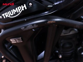 TRIUMPH TIGER 1200 DESERT EDITION
