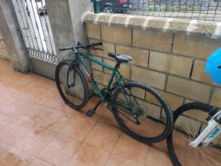 Bicicleta de montaña verde