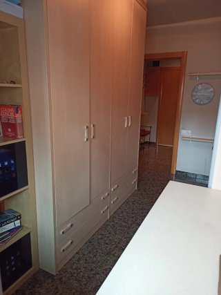 Habitación juvenil litera abatible
